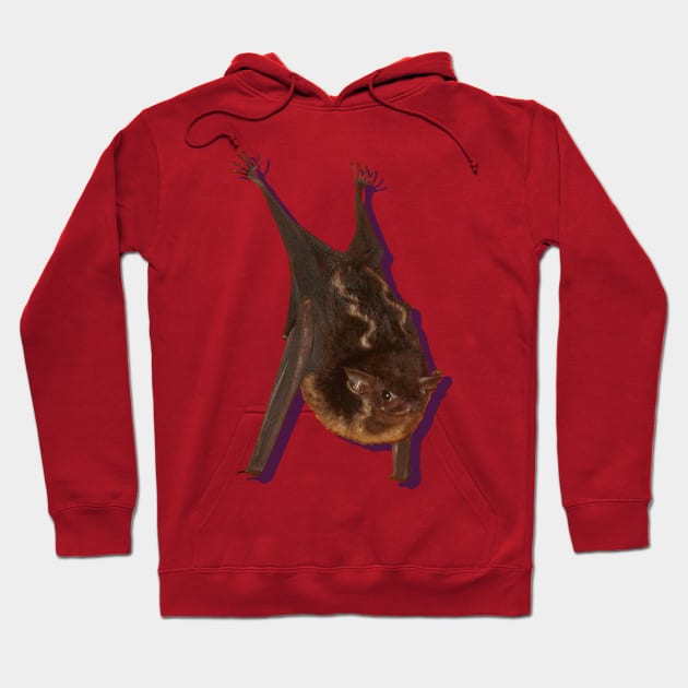 Bat Hoodie by denpoolswag